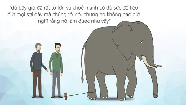 Bài học sâu sắc từ con bọ chét & con voi