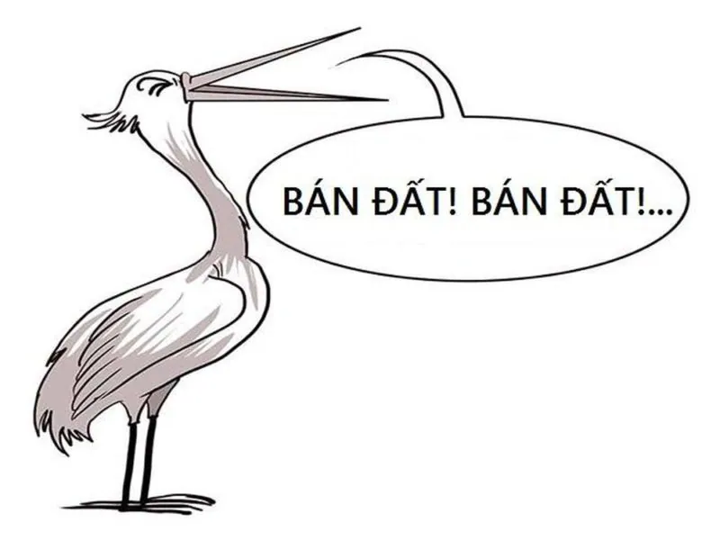 3 chiêu trò của CÒ ĐẤT mà nhà đầu tư cần lưu ý