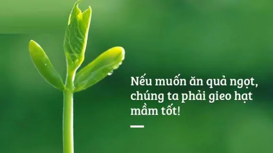Những hiểu biết đúng khi đi lễ chùa