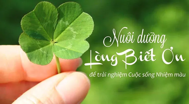 Biết ơn – Con đường tắt dẫn đến hạnh phúc